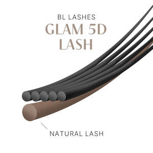 [BL LASH] Cils coréens 5D préfabriqués en éventail, fibres PBT coréennes, haute qualité, volume russe, courbures CC/DD, longueurs variées disponibles - Product Image 6