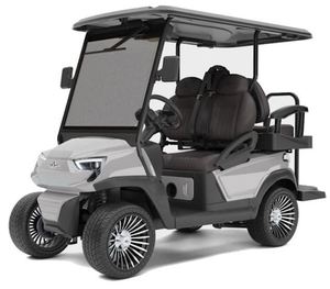 NEW FAV 2025 4-<b>Passenger</b> Cart With Titanium - Product Image 5