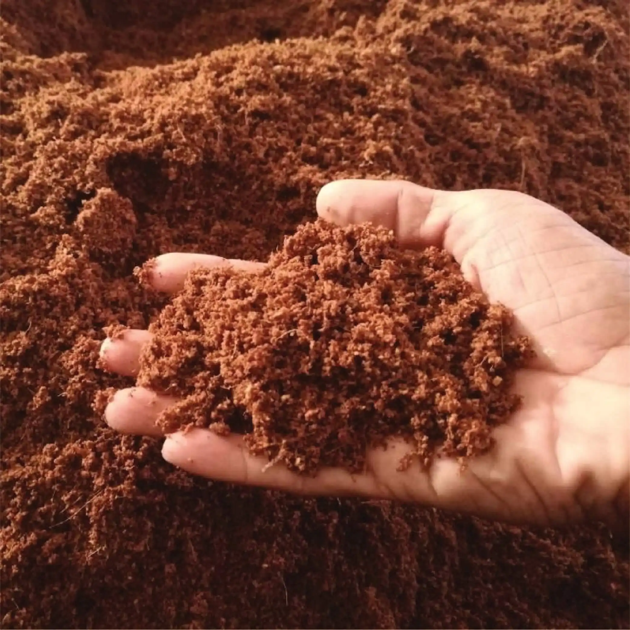 Cocopeat ดินในร่มกลางแจ้งสำหรับสวนและพืช COCO Coir เต็มไปด้วยสารอาหาร