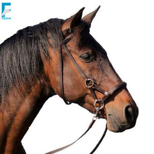 สายเบ็ดขี่ม้าหนังแท้น้ําหนักเบาคุณภาพเยี่ยม 2024 การแข่งม้าขี่ม้าขี่ม้า - Product Image 3