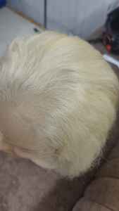 Peluca de Encaje Frontal Rubia 613, Cabello 100% Humano - Product Image 6