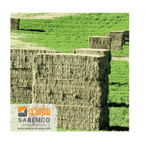 Vente directe d'aliments pour animaux à foin d'herbe jaune de Rhodes pour bétail cheval et porc - Product Image 3