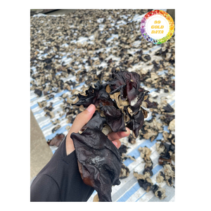 เชื้อราสีดำธรรมชาติอบแห้งจากเวียดนามเหมาะสำหรับการทำอาหารการผลิตทำอาหารการทำอาหารและร้านอาหาร - Product Image 3