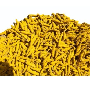 Dedo de cúrcuma de Nizamabad Premium | Cosechado salvaje y pulido doble | Extracto de plantas herbales - Product Image 3