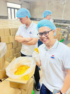 มะม่วงอบแห้งแบบนิ่มที่มาจากเวียดนามสำหรับแบรนด์อาหารและผู้จัดจำหน่ายขนมขบเคี้ยว - Product Image 3