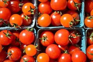 Tomates fraîches de bœuf, y compris les variétés cerise et prune, maintenant disponibles à la vente - Product Image 4