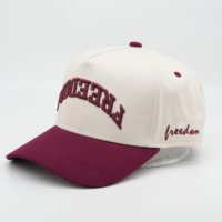 Casquette de baseball bicolore avec logo brodé 3D plat sur le devant, multicolore, pour la vente en gros, les voyages, les activités de plein air, ODM Injae Vina Vietnam Hat