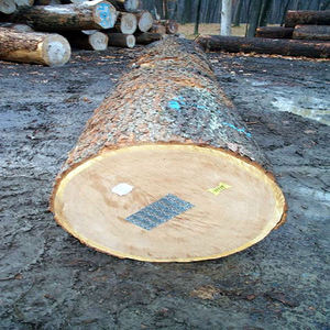 Bûches de bois d'épinette - Spécifications standard Durée de conservation de 24 mois - Product Image 5