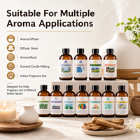 Huile Essentielle d'Aromathérapie de Luxe OEM ODM 100ml Sans Alcool pour Diffuseur, Huile Parfumée pour Maison, Bureau, Salle d'Exposition, Voiture