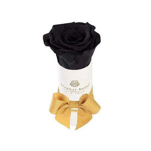 Liberty Eternal Single Black Rose Midnight Preserved Rose Head Natural Material Square Box for Valentine's Day Mother's Day - Product Image 1