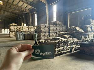 Hot Selling Raw Green <b>Coffee</b> <b>Beans</b> Bulk Vietnamese Robusta ISO Certified 60KG/bag Light <b>Roast</b> High Quality Ready for Exporting - Product Image 4