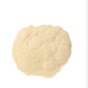 Poivre blanc en vrac de qualité supérieure pour recettes végétaliennes Cuisine saine et exportation indienne au meilleur prix - Product Image 1