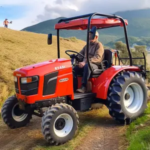 2X4 pequeño tractor agrícola GainJoys 70H para vender