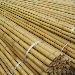 Postes de bambú crudo de Vietnam al por mayor postes de bambú naturales postes de bambú grandes para material de construcción-BP015 - Product Image 2