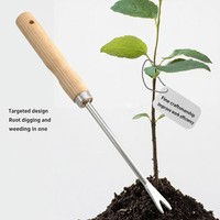 Ensemble de 5 outils de jardinage en acier inoxydable avec manche en bois : pelle, fourche à racines, râteau pour le jardinage domestique