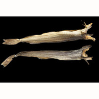 Stockfish séché de haute qualité à vendre Stock norvégien séché et têtes de morue/Tailles de morue et de stock de poisson séché disponibles