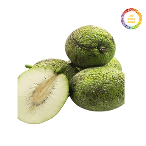 Fruta de pan congelada de alta calidad al por mayor, precios asequibles a granel, suministro de exportación confiable con calidad constante - Product Image 2