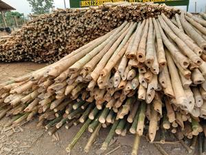 Bulk Wholesale Thick and Durable <b>Bamboo</b> Poles for Construction From Viet Nam - Reliable and Sustainable - Product Image 5