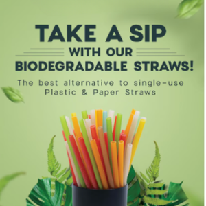 100% paille biodégradable jetable de 8mm pour thé Boba/Smoothie/jus/shakes pour restaurant d'hôtel à domicile - Product Image 5