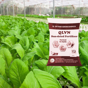 Fertilizante de estiércol de pollo rico en humus Acondicionador de suelo orgánico en polvo OEM Nature Boost Uso de plantas Exportación Suministro de calidad Listo - Product Image 1