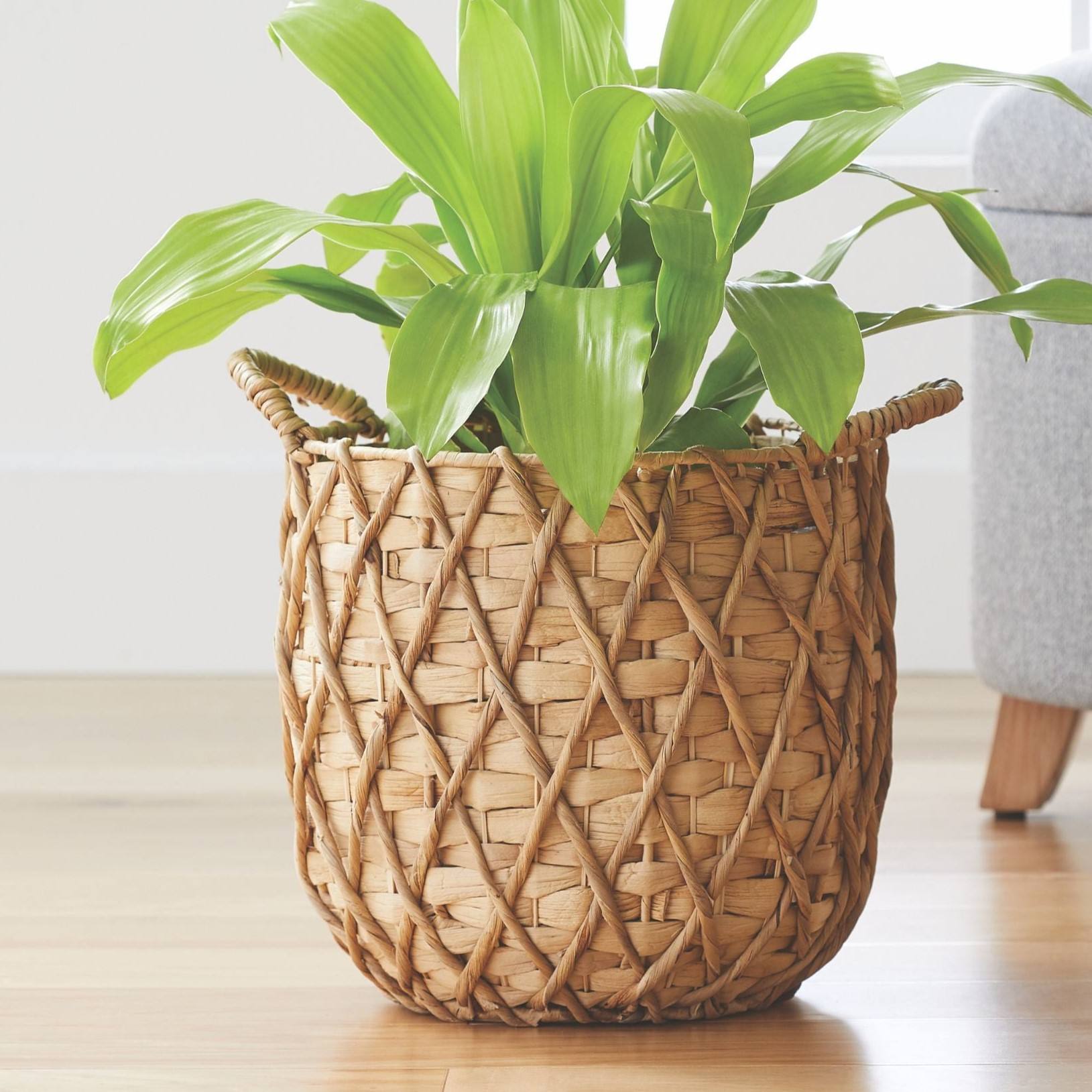 ธรรมชาติ