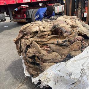 Se venden pieles de vaca húmedas saladas - Product Image 1