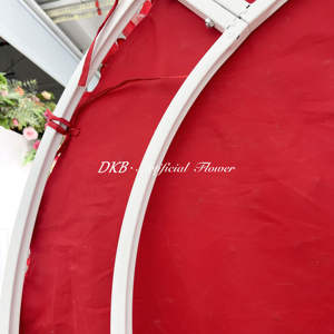 Decorazione di nozze arrotolare la parete del fiore rosa rossa del cuore <span class=keywords><strong>sfondo</strong></span> della parete del fiore 8x8 muro di seta artificiale del fiore - Product Image 5