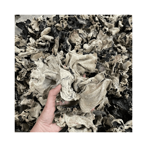 <b>Mushroom</b> Dried Black Fungus <b>crisp</b> dried pieces for stir-fried rice and noodle kiosks, carefully processed and packed Vietnam - Product Image 5