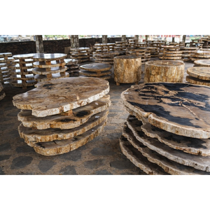 Plateau de table en bois pétrifié naturel sur mesure en gros pour tables basses - Product Image 2