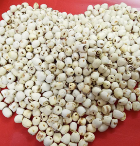 Pure Dried Lotus <b>Nuts</b> from Vietnam Natural Food Material for Traditional Dishes and <b>Snacks</b> - Product Image 5