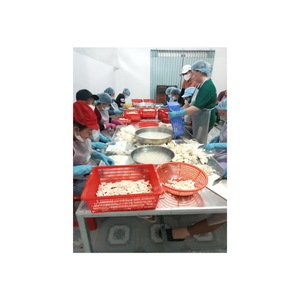 Yuca congelada de Vietnam, pelada y cortada a los tamaños deseados, lista para cocinar o procesar más yuca congelada de 99GD - Product Image 1