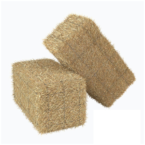 2024 ใหม่หญ้าอินทรีย์ Alfalfa อาหารสัตว์ฟางข้าวสาลีฟางก้อนโดย AL SADIQ ENTERPRISES - Product Image 2