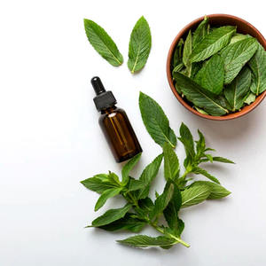 Huile essentielle de menthe poivrée et d'arbre à thé pure, extraite par distillation à la vapeur, pour la fabrication de parfums, vente en gros en Inde - Product Image 3