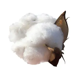 价格优惠轧制棉纤维素纤维材料全球运输纤维素棉