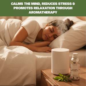 Huile Essentielle de Basilic Sacré 100% Pure, Hydratante, Douceur Olfactive, Feuilles et Fleurs, Flacon 10ml, Échantillon Gratuit, Fournisseur OEM, Certifiée COA et FDS - Product Image 5