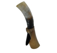Paire de cornes de buffle naturelles décoratives de style marin, artisanat célèbre FHM00422 pour mur, usage en restaurant, emballage personnalisé
