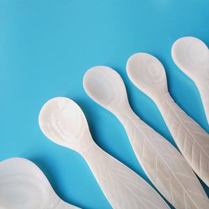 Feuille réutilisable conception Unique de coquille cuillère Caviar petite cuillère en coquille nacre du Vietnam vadrouille blanche à Long manche - Product Image 2