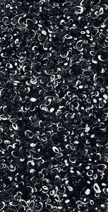 Carreaux de sol en porcelaine vitrifiée modernes haute résolution, résistants à l'usure et antibactériens, fabriqués en Inde pour piscines - Product Image 3