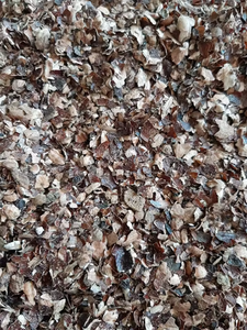 เปลือกเม็ดมะม่วงหิมพานต์เยอรมันคุณภาพสูง เกรด 1 อายุการเก็บรักษา 2 ปี สำหรับใช้ทางการเกษตร ราคาตามราคาส่งในโกดัง - Product Image 4