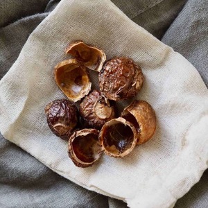 Wholesale Seedless Soap Nuts Organic <b>Soapberries</b> Top Quality Dried Soapnut Ready to Export at Low Price - Product Image 5