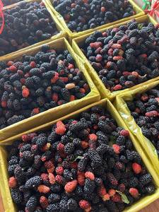 VENTE CHAUDE Mûres congelées Utilisation pour la transformation de jus Smoothie et fabrication alimentaire Pour la vente en gros Commande personnalisée Vietnam - Product Image 3