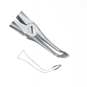 Pinzas para Extracción de Dientes Fig146, Manuales, de Acero Inoxidable de Alta Calidad, Certificación CE, Instrumentos Dentales, Venta Caliente, Logotipo Personalizado - Product Image 4