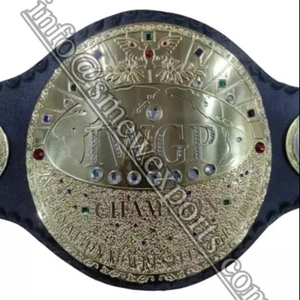 ถุงมือชกมวย IWGP World heavyweight, ชุดฝึกศิลปะการต่อสู้ - Product Image 1