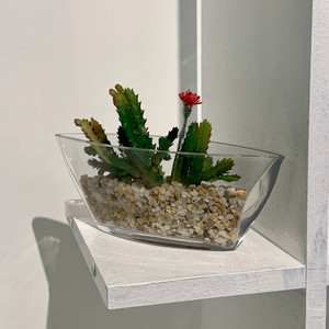 VCH1101 - Florero Transparente Tipo Barco - 8.5 x 3 - Product Image 3
