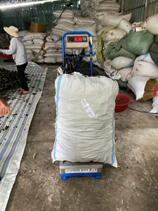 Champignon noir séché en bois naturel entier pour l'exportation et la transformation des aliments Vietnam 99 Gold Data - Ms Violet - Product Image 2