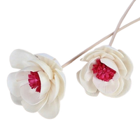 Sola Wood Flower diffuseur de roseau Parfum d'ambiance Fait à la main Sola Flower Echo Friendly Sola Flower Natural to aérer Freshen Reed