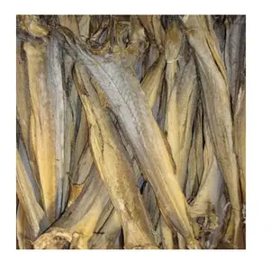 100% dry Stock Fish / Norway Dried StockFish