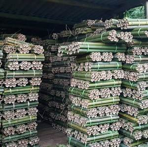 Clôture en bambou naturel du Vietnam pour l'extérieur | Poteaux de jardin pour projets d'aménagement paysager décoratifs faits à la main avec une bonne affaire - Product Image 1