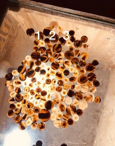 Botones de Cuerno de Búfalo Crudo de Varios Tamaños, Botones sin Terminar para la Industria de la Confección, con Diferentes Opciones de Color Disponibles - Product Image 5