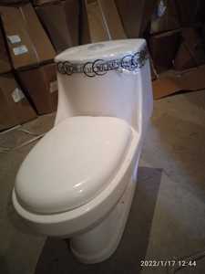 Modern Design One Piece Water Closet Drainage Pattern Ceramic Washdown Flushing Lifetime Warranty Best Market Price Made India - Product Image 6